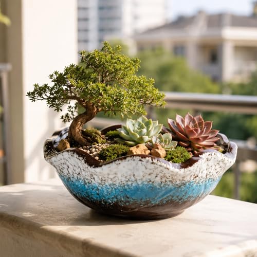 Large Ceramic Bonsai Pot, 10" Wavy Lotus Bowl Shallow Planter, Plant Pots | Decorative Ceramic Planter for Bonsai Trees, Succulents, Hydroponic Plants & Indoor Tabletop Home Decor