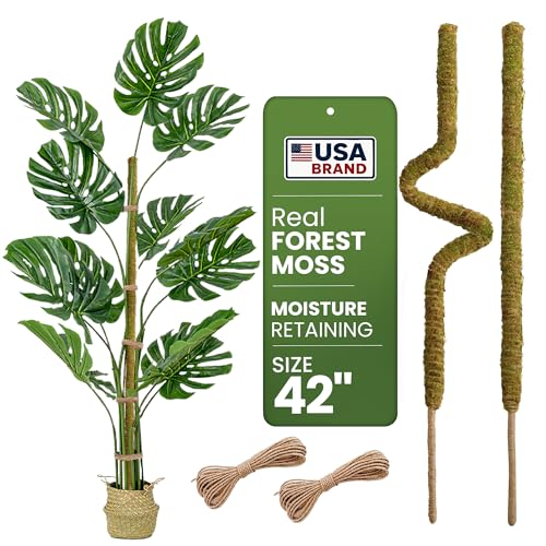 2pcs 42'' Real Forest Moss Pole Monstera Plant Support -Moisture Retaining | Plant Stakes for Climbing Indoor Plants - Tall Sticks Indoor Trellis for Houseplants - Pot Accessories - size: 2-Pack (42 in)