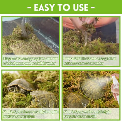 Riare 3.5oz Natural Sphagnum Moss for Reptiles, Terrarium Substrate Bedding | High Expansion, Moisture Retention, Helps Shedding, Long Fibered Dried Moss for Leopard Gecko, Snake, Frog, Turtle - color: 3.5 OZ