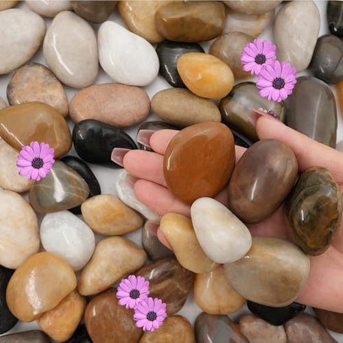 NUPICK 6lb River Rocks for Plants Indoor, 1-2Inch Pebbles for Vase Fillers - color: Mixed, size: 1-2"-6lb