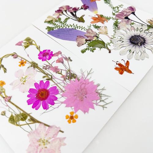 Cayway 4 Pack Pressed Flowers Natural Dried Flowers Colorful Resin Flowers Real Pressed Flowers for Resin Scrapbook DIY Art Crafts, Epoxy Resin Jewelry, Card Making Supplies, Style G - color: 4 Pack Pressed Flowers B