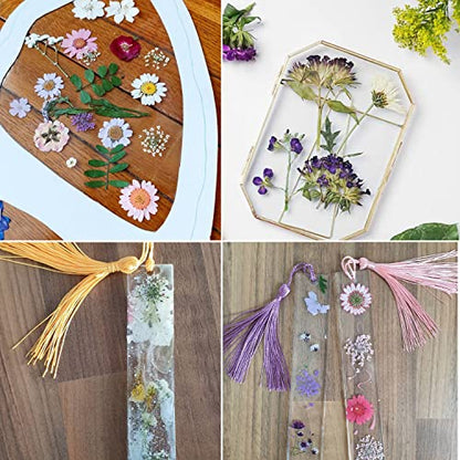 Cayway 42 Pcs Real Pressed Flowers Dry with Tweezers Set, Dried Pressed Flowers Colorful Real Pressed Flowers for Resin Scrapbooking DIY Art Crafts, Epoxy Resin Jewelry, Soap Making - color: 1 Packs Style a
