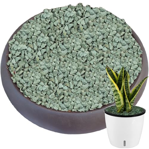 11 lbs Succulent and Cactus Bonsai Pebbles, 6-9mm Decorative Landscaping Stones Natural Garden Gravel Rocks for Indoor Outdoor Plants Aquariums DIY, and Gardening Top Dressing, Green Zeolite - size: 0.24-0.35 inch, style: Green zeolite/ 11 pounds