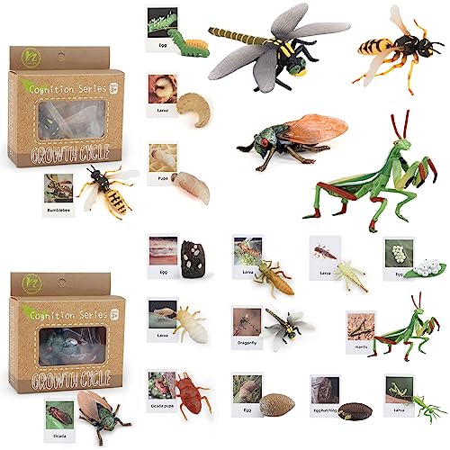 Montessori Life Cycle Animal Plastic Insect Figurines Learning & Education Toys for Kids, Preschool Activities (Dragonfly Mantis Cicada Bumblebee) - color: Dragonfly Mantis Cicada Bumblebee