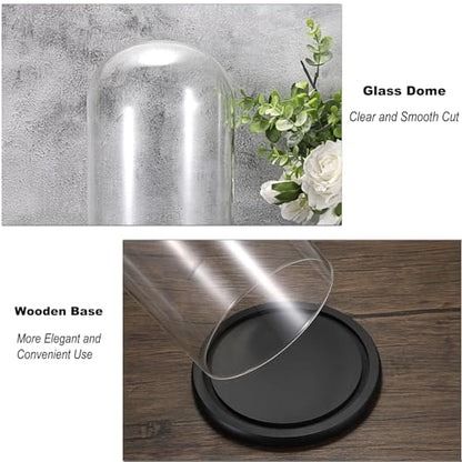 JUXYES 13.8 Inches Glass Display Dome Cloche with Black Wood Base, Clear Glass Dome Cloche Bell Terrarium Jar Glass Cloche Bell Jar Display for Plants Collectible Figure, 15x35cm