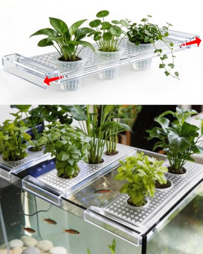 2026 Telescoping Aquarium Plant Holder with 3 Cups, Clear Acrylic