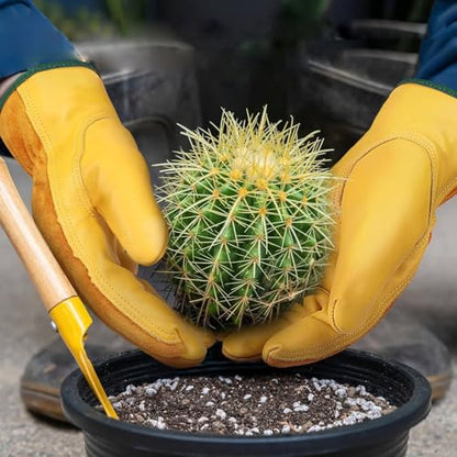 Leather Work Garden Gloves for Men & Women，Safety Work Gloves for Gardening, Welding, Construction, Farm, Ranch, etc. Thorn Proof , Planting,Heavy Duty，Roses Pruning Gardening Working Gloves, Gifts M - size: Y-M