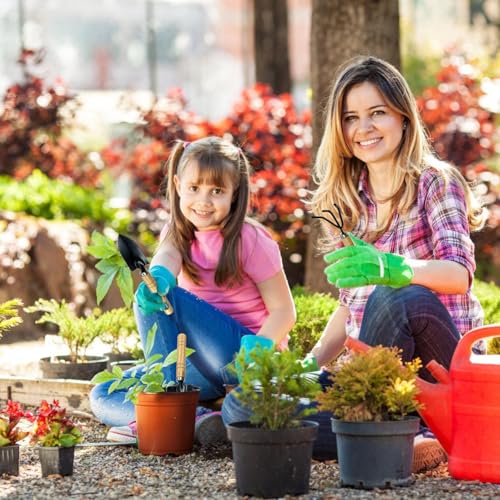 Mini Garden Tools for House Plants,Small Trowel,Mini Shovel and Hand Rake | Small Garden Tools for Succulent,Bonsai,Pot Plants,Rust-Resistant Heads;Non-Slip Wooden Handles,Repotting and Soil Loosening