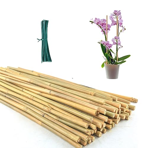 30 Pcs 16 Inch Bamboo Stakes Plant Support with Ties for Potted Plants - size: 16 INCH-30 PACK & Ties
