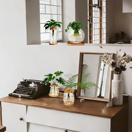 6 Pcs Plants Propagation Stations Glass Planter Terrariums with Wooden Lid and Bamboo Stand Desktop Propagation Vases Jars for Plant Growing Hydroponic Home Office Tabletop Garden Decoration