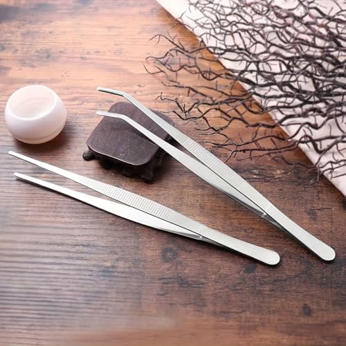 Stainless Steel Tweezers 2-Piece, Straight and Curved Tips, Ergonomic Precision for Succulent Care, Potting and Repotting - color: Multicolor