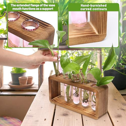 Glass Plant Propagation Station with 5 Test Tubes Colorful Planter Vase - color: Pink