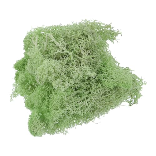 0.35 OZ Moss Fake Craft Moss Artificial Moss Natural Preserved Moss for Craft Arts Floral DIY Project Wall Wedding Garden Patio Table Terrariums Decoration(Light Green) - color: Light Green