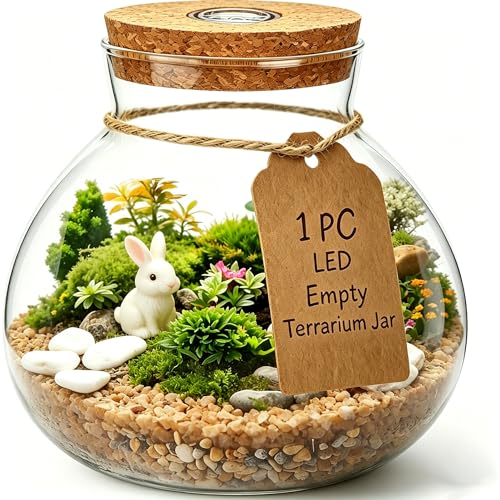 NUOBESTY LED Glass Terrarium Jar with Cork Lid, 6x6.3 Inch Closed Terrarium for Succulent Moss and Fern, DIY Miniature Desktop Garden for Home & Office Decor (No Plants)