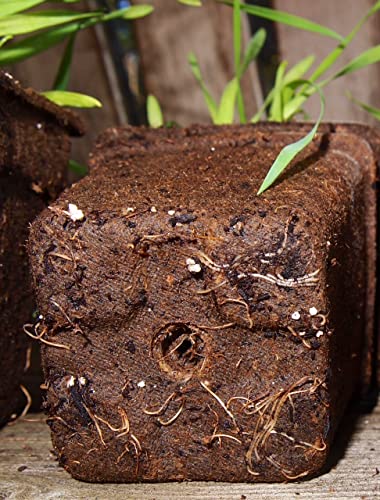 CP3-12 3-Inch CowPots, 12-Pack - style: 3 inch Square