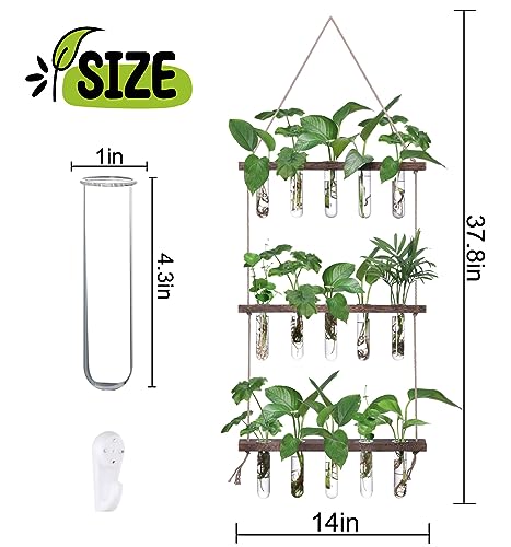 XXXFLOWER Wall Hanging Propagation Station with Wooden Stand 5 Glass Test Tubes 3 Tiered + 2L Long Green Spout Removable Nozzle Flower Watering Pot