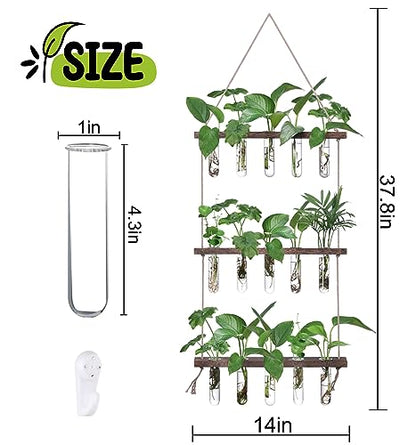 XXXFLOWER Wall Hanging Propagation Station with Wooden Stand 5 Glass Test Tubes 3 Tiered + 2L Long Green Spout Removable Nozzle Flower Watering Pot