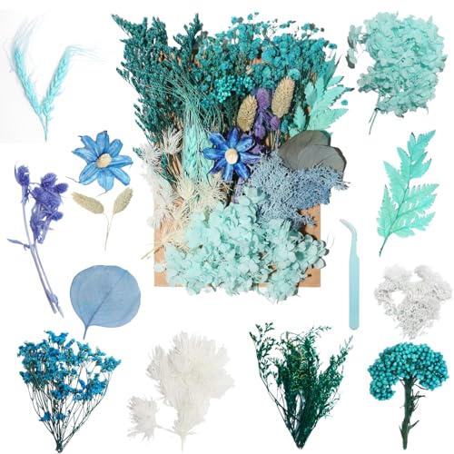 Real Dried Flowers for Resin, Natural Pressed Flowers (Blue) | Natural mixed dried flower pack with tweezers for DIY resin,crafts& candles. - color: Blue