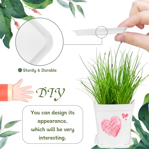 OJYUDD 72 Pcs 3 Inch White Square Plastic Pots with Saucer,White Plastic Plant Seedling Pots,Seedling Nursery Pots Indoor Outdoor for Succulents/Plant,Garden,Office and Balcony Decor - size: 72 Pack White