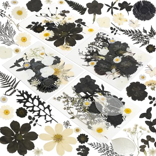 185 Pcs Dried Pressed Flowers for Resin Crafts, Real Natural Pressed Flowers and Leaves Kit Butterfly Stickers Vacuum Sealed Dry Flowers for DIY Epoxy Resin Jewelry Molds, Candle Soap Making, Nail Art - color: Nightfall 185pcs