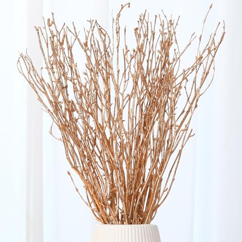Real Dried Birch Twigs - Painted Golden Decorative Birch Branches for Vase, Centerpiece, Wedding Decor, Sticks for DIY Crafts, Flower Arrangement, Plants for Rustic Home Decor (30 Stems, 15" -17") - color: C-golden