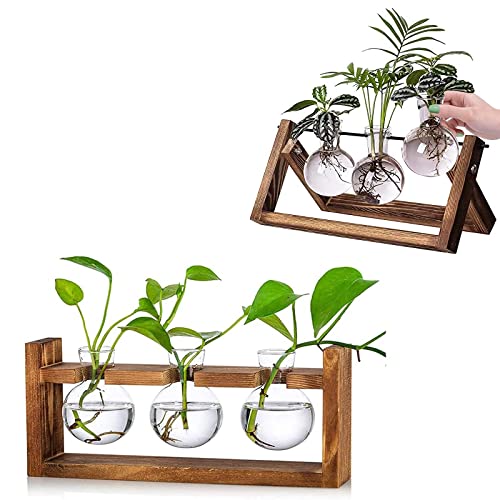 Kingbuy Desktop Plant Propagation Station with Open Bracket Stand for Hydroponic Plants Home Garden Office Decoration — 3 Bulb Vases