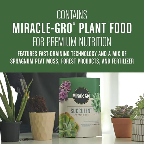 Miracle-Gro Succulent Potting Mix - Potting Soil Mix for Indoor Succulents, Aloe Vera and More, Made with Miracle-Gro Plant Food, 4 qt. (Pack of 10) - size: 10 Pack, style: Succulent
