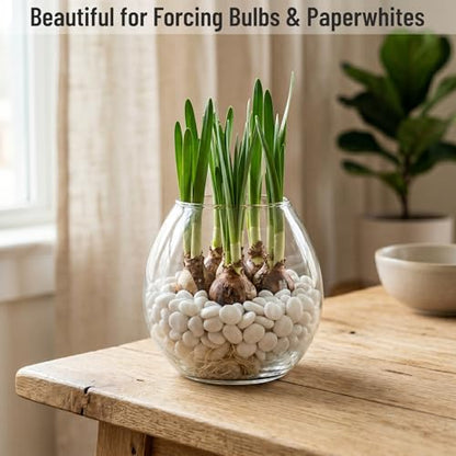 Midwest Hearth Decorative White Pebbles for Plants & Vase Filler | Polished Natural Stones | 3/8" Size (5-lb Bag) - size: 5-lb Bag