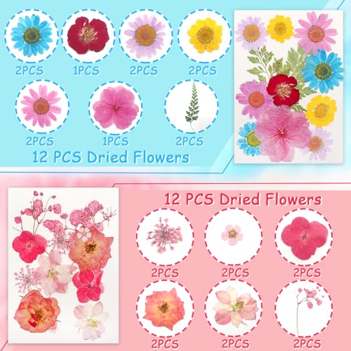 Real Dried Pressed Leaves Natural Dried Leaf for Candle Resin Jewelry Soap Nail Pendant Phone Case Crafts Making Floral Decors Scrapbooking DIY (48 Pcs Real Dried Leaves Flowers) - size: 48 Pcs Real Dried Leaves Flowers