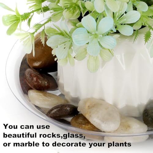 6 Pack 12 Inch Heavy Duty Clear Plastic Plant Saucer Sturdy Pot Tray Plant Drip Trays for pots,Plant Water Catcher Tray,Flower Pot Saucer Water Drainage Tray Floor Protector (12 Inch) - size: 12 inch