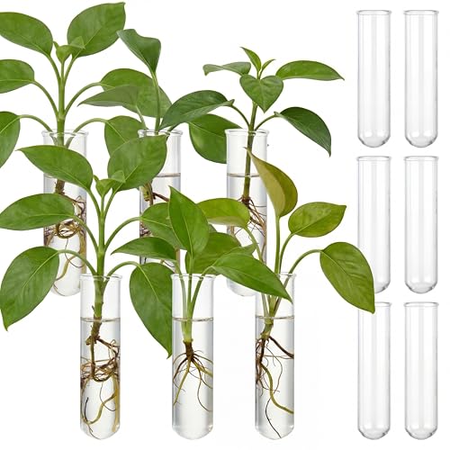 Kingdder 12 Pcs Glass Plant Propagation Tubes Station Wall Terrarium