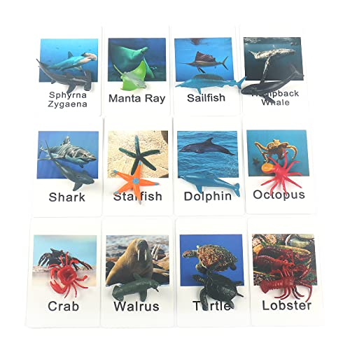 MEROCO Ocean Animals Montessori Matching Game Toys Kids Preschool | Sea Life Flash Cards Matching Game Toddlers Classroom Learning Plastic Figurines 3-5 - style: Marine Animal