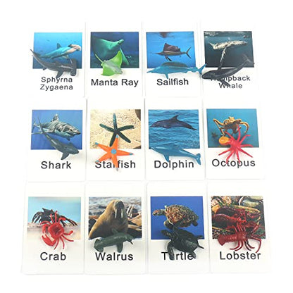 MEROCO Ocean Animals Montessori Matching Game Toys Kids Preschool | Sea Life Flash Cards Matching Game Toddlers Classroom Learning Plastic Figurines 3-5 - style: Marine Animal