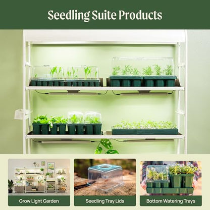 Vego garden Standard Seedling Trays Without Lids, 64 Pack for Seedlings Reusable Propagator Growing Starter Tray, Germination Trays Kit for Greenhouse/Garden (8-Cell per Tray) - size: 64 Packs, style: 8 Cells Standard Size