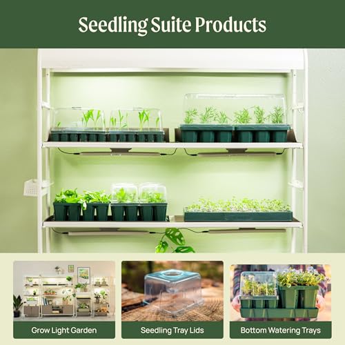 Vego garden Jumbo Seedling Trays Without Lids, 64 Pack Reusable Propagator Growing Starter Tray for Larger Plants, Heavy-Duty Plastic Germination Trays (4-Cell per Tray) - size: 64 Packs, style: 4 Cells Jumbo Size