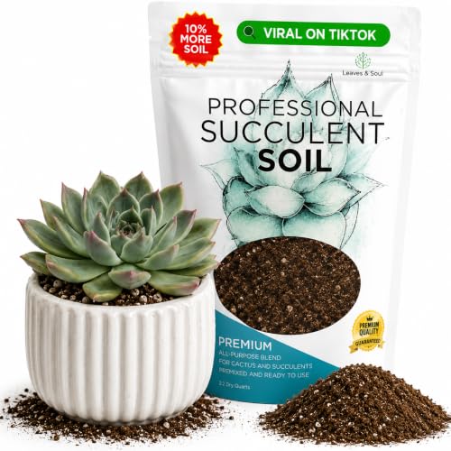 Professional Succulent Soil Mix Ready to Use Extra Large 8.2 Quarts, Premium Potting Soil for Succulents and Cactus, Fast Draining Blend Canadian Peat Coarse Sand Pinebark Indoor Made in USA - color: Succulent Soil Blend, size: 8.2 Quarts