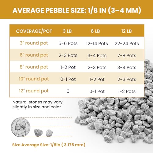 1/8 Inch Gray Natural Gravel for Drainage, Filling and Landscaping, 12Lb - color: Gray, size: 12LB