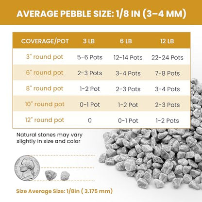 1/8 Inch Gray Natural Gravel for Drainage, Filling and Landscaping, 12Lb - color: Gray, size: 12LB
