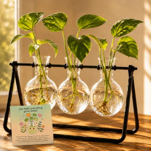 Plant Propagation Stations, Plant Terrarium with Minimalist Metal Stand