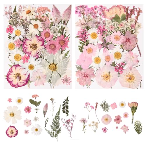 80PCS Pink Pressed Dried Flowers Dry Leaves with Tweezers | Real Pressed Flowers, For DIY Crafts, For Resin Jewelry, For Cards, Soap, CandleMaking, Nail Art, Scrapbooking - color: Pink