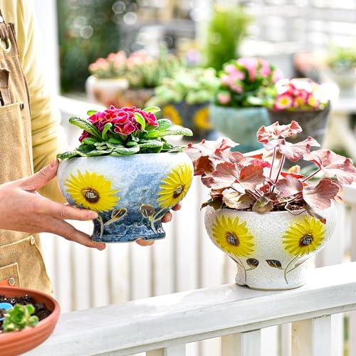 Sungmor Small Succulent Planters Set of 2, Beautiful Hand Crafted Ceramic Plant Pots Cute Cactus Pot, 6.5 Inch Flower Pots for Indoor Plants with Drainage, Desktop Windowsill Home Office Decor Pots | Beautiful Hand Crafted Ceramic Plant Pots Cute Cactus P
