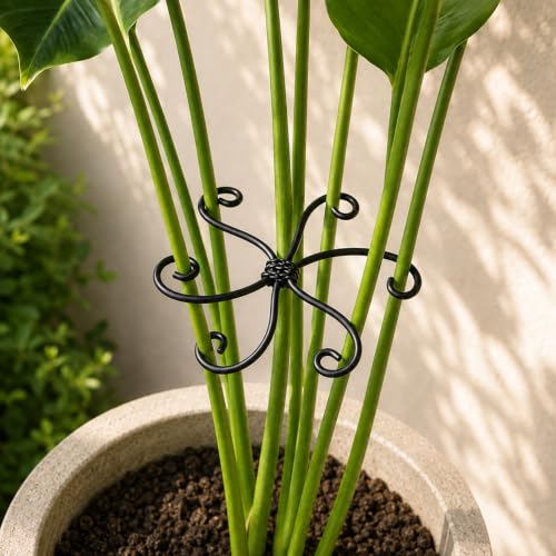 Yohsnor 5PCS Monstera Plant Stem Support-2.75x2.75 inches Black Stem Holder | Durable Metal Fishbone Design Stabilizers for Indoor Climbing Plants - Perfect Leaf Holders & Gifts for Plant Lovers - color: Black, size: 2.75IN*2.75IN