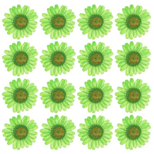 PATIKIL 48 Pcs Dried Pressed Flower Natural Dried Daisy Flower for DIY Art Crafts House Decoration Nails Decoration,Dark Green - color: Dark Green