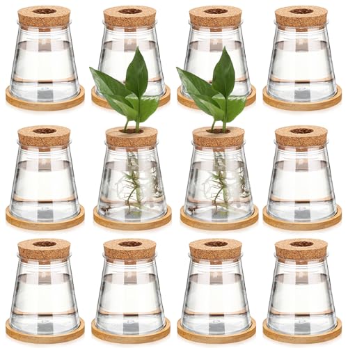 12 Packs Propagation Vases for Plants Plastic Plant Propagation with Hole Lid and Bamboo Stand Growing in Water Hydroponic Home Office Desktop Vase Decoration (Cute Style) - style: Cute Style