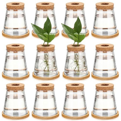 12 Packs Propagation Vases for Plants Plastic Plant Propagation with Hole Lid and Bamboo Stand Growing in Water Hydroponic Home Office Desktop Vase Decoration (Cute Style) - style: Cute Style
