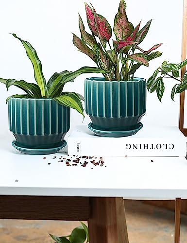 AISBUGUR Plant Pots 6 inch Ceramic Pots for Indoor Plants Set of 2 Flower Pots Unique Crackle Glaze Design Plant Pots with Drainage Hole and Saucer Come with Drainage Nets (Aqua Green) - color: Aqua Green