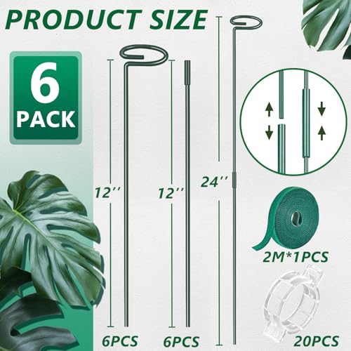 6 Pack 24 in Extendable Plant Support Stakes for Outdoor Plants and Flowers