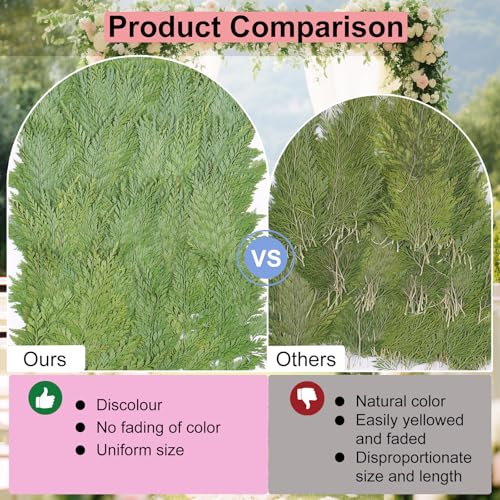 50Pcs Green Leaves Dried Pressed Flowers for Crafts,Xinxinran Ferns Dry Flower Kit for Wedding Invitation Accessories,Bookmark,Jewelry Molds,Candle Making Supplies,Soap,Frame - color: Green Leaves 50pcs