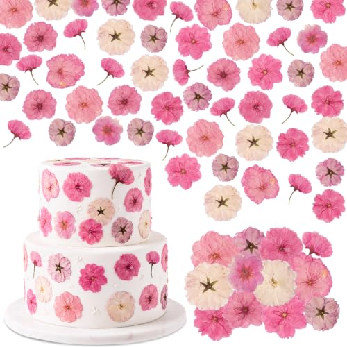 96 Pcs Pressed Dried Flowers | Natural Dried Flowers for Cake Topper Cupcake, Cocktails Garnish, Resin Jewelry DIY, Soap, Candle Making Art Crafts - color: Pink Purple, style: Flower Style