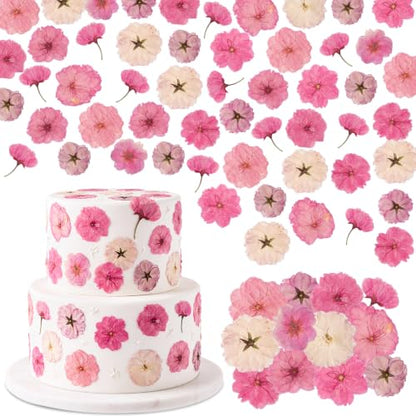 96 Pcs Pressed Dried Flowers | Natural Dried Flowers for Cake Topper Cupcake, Cocktails Garnish, Resin Jewelry DIY, Soap, Candle Making Art Crafts - color: Pink Purple, style: Flower Style